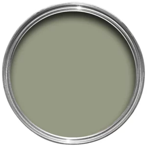 Lichen - No.19